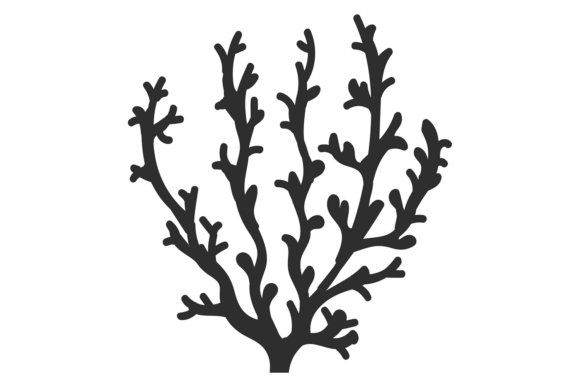 Coral Reef Branch: Graphics & Illustrations for Creative Design