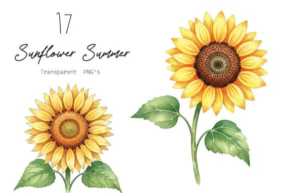 Watercolor Sunflower Summer Clipart: Graphics & Illustrations for Branding